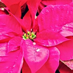 Meet your Posher, Karla